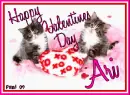 Kitty  - Ari
