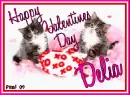 Kitty - Delia