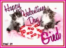 Kitty  - Gied