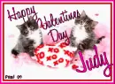 Kitty  - Judy