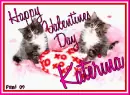 Kitty  - Katerina