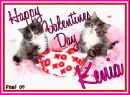 Kitty - Kenia
