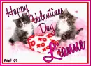 Kitty - Lianne