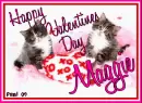 Kitty  - Maggie