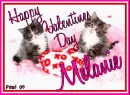 Kitty  - Melanie