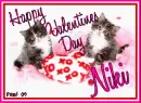 Kitty - Niki