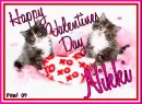 Kitty - Nikki