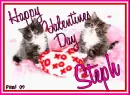 Kitty - Steph