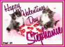 Kitty - Stephanie
