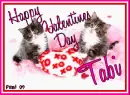 Kitty - Tabi