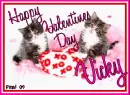 Kitty  - Vicky