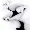 vampire kiss