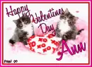 Kitty - Ann