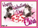 Kitty - Chris