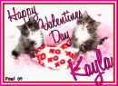 Kitty  - Kayla