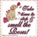 Stop and smell the roses