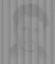 Johnny depp illusion