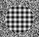 illusion