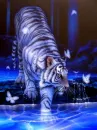 WHITE TIGER