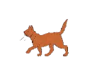 CAT ANIMATION