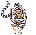 TIGER WALK