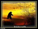 ~" A Bear Of A Day"~