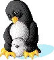 penguin
