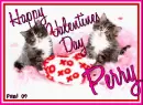 Kitty  - Perry