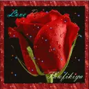 love rose