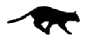 BLACK PATHER
