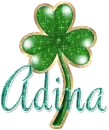 adina