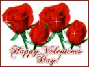 VALENTINE ROSES