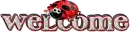 welcome - ladybug
