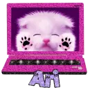 Ari