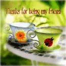 cups, friend