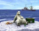 POLOR BEAR