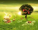 STRAWBERRY TREE
