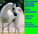 STOP SLAUGHTER