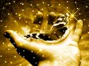 GOLDEN BUTTERFLY