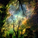 consciousness