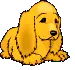 LIL PUP