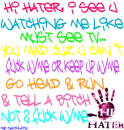 HI HATER