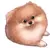pomeranians rock!