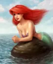 Ariel