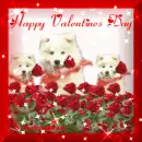 Happy Valentine's Day