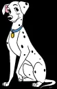 Cute Dog!