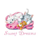 Sweet Dreams