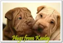 Hugs from Kealey