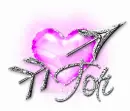 TOTI Heart n Arrow Pink