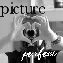 picture perfect